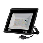100w Rgb Color Changing Led Flood Light Outdoor Waterproof Yard Party W remote
