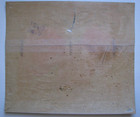 Original Scarce Blue Ribbon Apple Crate Label Yakima County Hort Union Yakima Wa