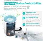 Himox H13 True Hepa Air Purifier For Large Room Pets Smoke Dust Allergies Black
