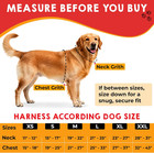 Esa Dog Vest Bundle With Id Tag And Informational Cards  Adjustable Emotional Su