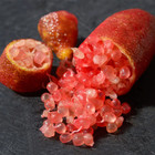 Hybrid Australian Finger Lime   Red   Graft   Exotic 1 Bare-root Plant