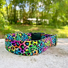 1  5 Inch Wide Colorful Neon Leopard Dog Collar Quick Release Rainbowcore Usa
