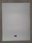The Black Crowes Three Snakes One Charm 25 Anniv  Poster Print