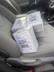 5000 Live Mixed Daphnia Magna And Moina  Live  Guarantee  Free Shipping