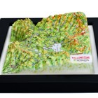 Yellowstone 3d Map National Park Decor Wall Art Gift Journey Interior Souvenir