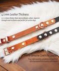 Premium Genuine Leather Dog Collar - Durable 4 5mm Thick  4 Sizes And 3 Colors