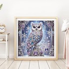 Owl Diamond Painting Kits  5d Special Shape Diamond Art Kits For Adults  Crystal