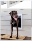 Petsafe Wall Entry Pet Door Telescoping Frame Aluminum 