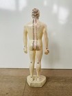 Vintage Tam   s Tong Ren Medical Rubber Acupuncture Practice Doll Figure 10 5   