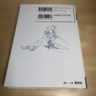 Final Fantasy Vi Advance Official Strategy Guide Final Fantasy 6