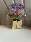  Solar Power Dancing Bobblehead Toy Flower Figurines Lot Of Three By Greenbrier