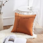 2 Pack Decorative Pillow Covers  18x18in Throw Pillows  Soft Velvet Couch