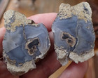 Blue Forest Fossil Wood Wyoming 2 Pc Specimen Agate Branch Eocene Antique Bf4