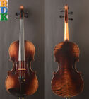 Special Offer maggini Style An Advanced Model 16 25 Inch Viola  Deep Mellow Tone