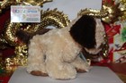 Webkinz Jr  Small Puppy comes With Sealed unused Code tag nice Gift 