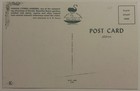 Vintage Cypress Gardens Florida Postcard
