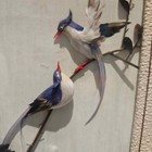 10 5  X 7 5  Shadow Box 3d  Blue Jay Bird On Branch Picture