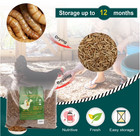 11 Lbs Bulk Dried Mealworms Non-gmo For Wild Birds Blue Bird Chickens Hen Treats