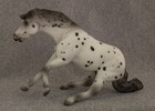 Breyer Stablemate Jc Penney Parade 2011 Reining Reiner Slider Leopard Appaloosa