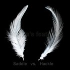 100   7 0g  1 4oz   Brown 5-7  Hackle Rooster Coque Feathers For Crafting