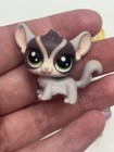 Littlest Pet Shop Lot