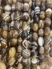 300 Pcs Excellent Rare Tibetan Old Natural Stripes Agate Dzi 8x12mm Beads     