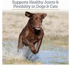 Megaflex Cat And Dog Joint Supplement Glucosamine Sulfate  600  Capsules Exp6 28