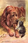 Vintage Bloodhound Print Robert Scholz Bloodhound Wall Art Illustration 5714v