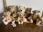 Lot Of 6 Vtg Jtd Steiff Bears 7   -13    Mohair   Plush Most W  All Tags Look 