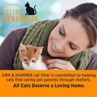  2 Pack  arm   Hammer Double Duty Cat Litter  40 Lb