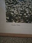 Vintage 1950s Large Framed Canadian Scenic Photo  Canadian National Railways