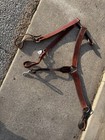 Horse Breast Collar Pack Of 2