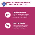 Iams Proactive Health Urinary Tract Adult Dry Cat Food 3 5 Lb Chicken