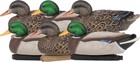 Zink Floater Mallard Decoys   6-pack Life-size Floating Decoys For Duck Hunting