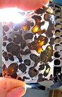 28 Gm Sericho Pallasite Meteorite Slice Translucent From Kenya Std Olivine