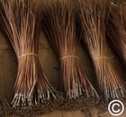 The Tall Pine Long Leaf Pine Needles For Basket Making Basketry 16oz Per Bundle