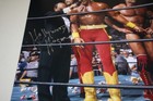 Nwo Wcw Hollywood Hulk Hogan Kevin Nash Scott Hall Signed 16x20 Photo Beckett