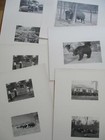 C1908  36 Original Prints Ny Zoological Society   Park W invitation Bronx Zoo