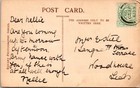 Julia James   Beautiful Stage Actress   Holding A Yorkie   Rppc   1909 