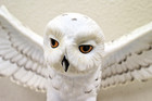 Maruri Eyes Of The Night Snowy Owl Porcelain Figurine 1988 Vintage 0-8805