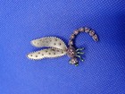 Vintage Purple Green With Rhinestone Dragonfly Insects Woman s Brooch Pin