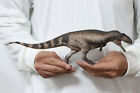 Pnso 68 Mapusaurus Mila Model Prehistoric Dinosaur Animal Collection Decor Gift