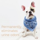 Kids    n    Pets Stain   Odor Remover Cleans Even Dog  Cat Urine Smells  Spots From