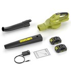 20v Cordless Leaf Blower 320 Cfm 3-speed With 2 Batteries   Charger