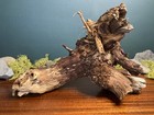13    Manzanita Driftwood Branch  Aquarium Terrarium Aquascaping  Home Decor