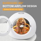 Automatic Pet Hair Dryer Box 62l Capacity For Cats Dog Smart Temperature Control
