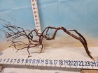  Manzanita Driftwood Premium Aquarium Wood Aquascape Decor Reptiles Bird Perch