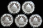  5  2016 Silver China 10 Yuan 30g Panda Coin In Capsule