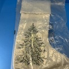 West Elm Boucle Tannebaum Tree Christmas Stocking Nwt Gorgeous