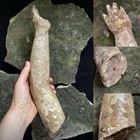 Antique 16th-17th Century Large Polychrome Wooden Arm Fragment